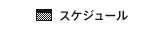 スケジュール